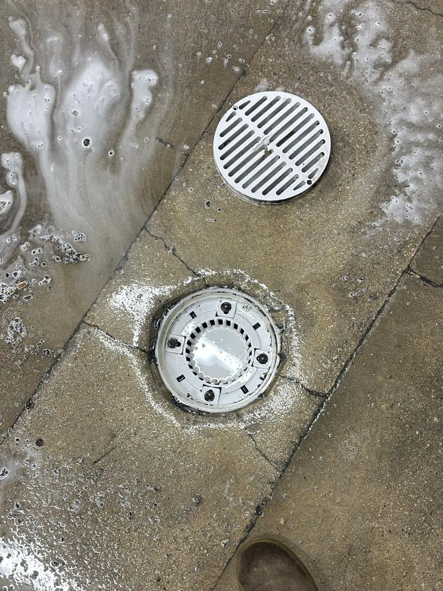 Commercial floor drains after AlphaPro cleaned them